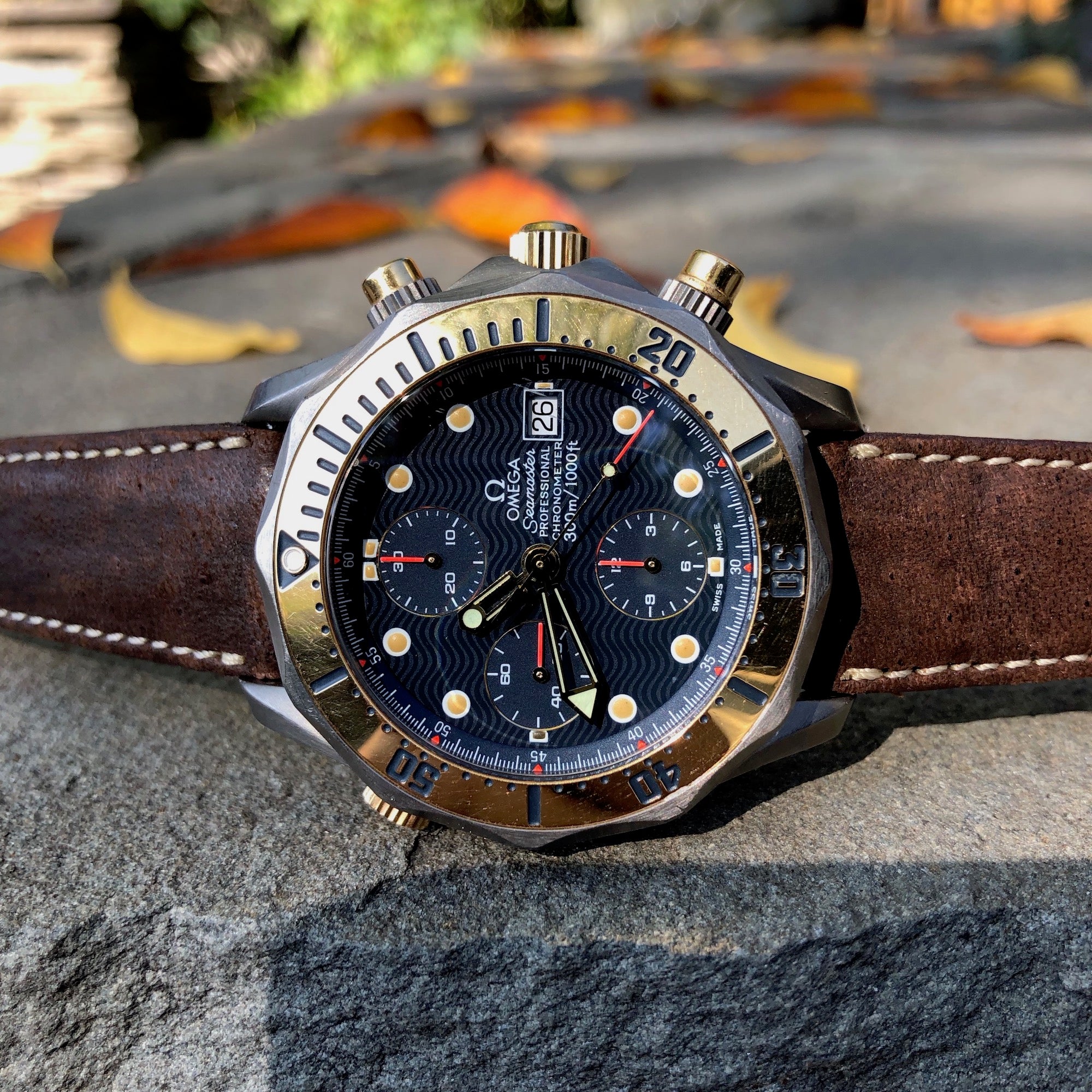 Seamaster professional outlet chronograph